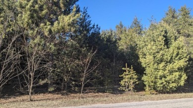 Wooded corner lot to build on. Clinton St is paved and 10th St - Lake Lot For Sale in Bear Lake, Michigan
