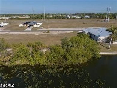 AWESOME CANAL LOTS FOR SALE!!! Great lot to build your home - photo 8