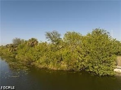 AWESOME CANAL LOTS FOR SALE!!! Great lot to build your home - photo 9