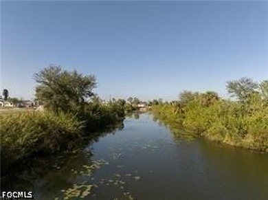 AWESOME CANAL LOTS FOR SALE!!! Great lot to build your home - photo 10