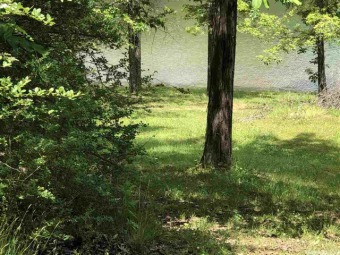 (private lake, pond, creek) Lot For Sale in Hardy Arkansas