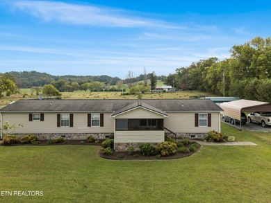 (private lake, pond, creek) Home For Sale in Spring City Tennessee