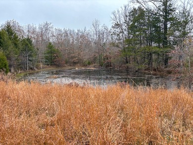 Norfork Lake Acreage For Sale in Tecumseh Missouri