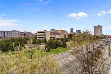 Luxurious 3 story condo close to everything Fort Worth has to
