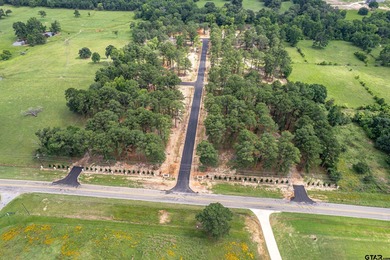 Lake Palestine Lot For Sale in Flint Texas