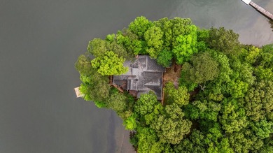 The Ultimate Lake Harding Lifestyle: Custom Luxury and Endless - photo 43