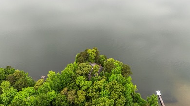 The Ultimate Lake Harding Lifestyle: Custom Luxury and Endless - photo 44
