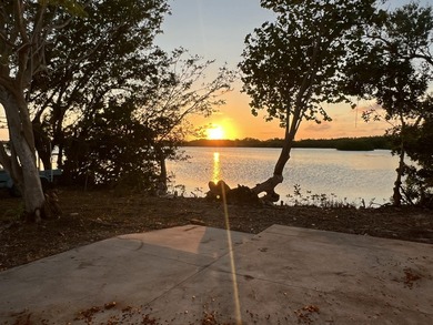 Rare DOUBLE SIZE LOT on OPEN WATER with BOATING ACCESS and ROGO - photo 3