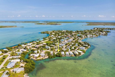 Rare DOUBLE SIZE LOT on OPEN WATER with BOATING ACCESS and ROGO - photo 5
