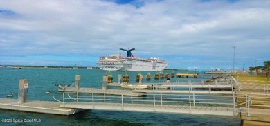 Boat dock, pool, 1 acre and a South Tropical Trail address. This - photo 42