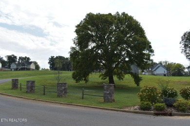 Douglas Lake Lot For Sale in Dandridge Tennessee