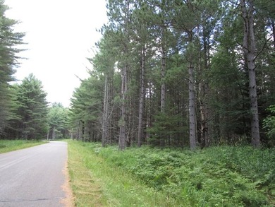 Trude Lake Acreage For Sale in Mercer Wisconsin