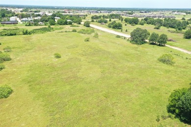 Bring your imagination to this rare 4-acre cul-de-sac property - photo 5