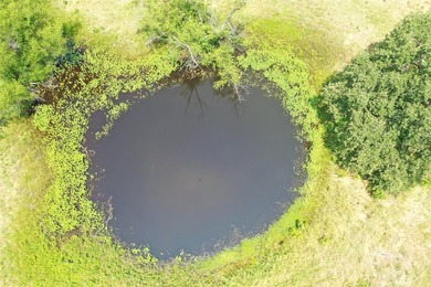 Bring your imagination to this rare 4-acre cul-de-sac property - photo 10