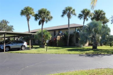 Lake Condo For Sale in Punta Gorda, Florida