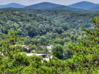 Lake Lot For Sale in Ellijay, Georgia