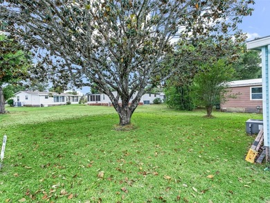 Charming FURNISHED home located in the beautiful Orange Blossom - photo 30