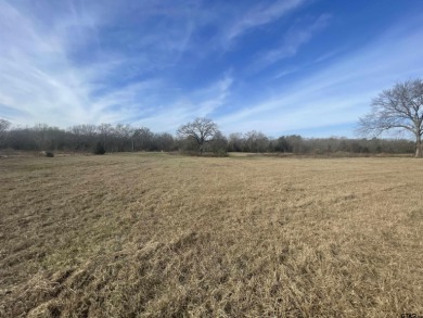 Nice 4+ acres with a pond located in Eagle Shores on Lake Bob - Lake Lot For Sale in Pittsburg, Texas