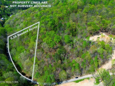 Norris Lake Acreage For Sale in Maynardville Tennessee