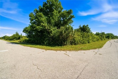 PRIME opportunity to own a highly desirable corner lot in the - photo 8
