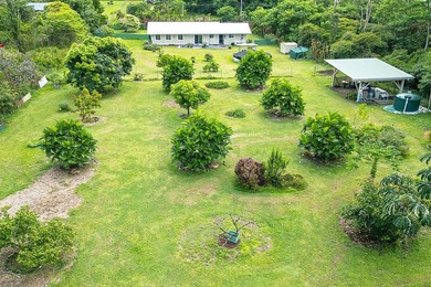 Conveniently located on 15th Avenue off Kaloli Drive in Hawaiian - photo 17