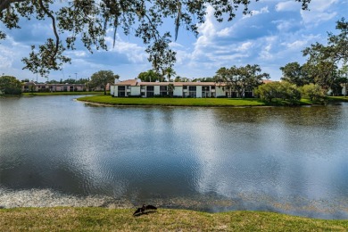 Lake Condo For Sale in Oldsmar, Florida