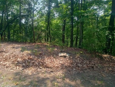 Lake Lot For Sale in Ranger, Georgia