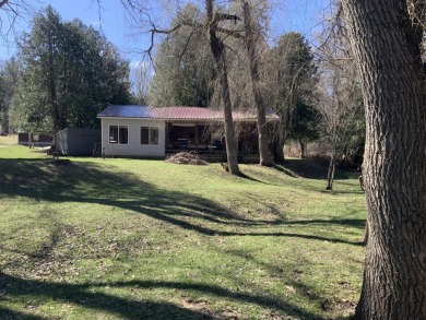 Lake Home For Sale in Luther, Michigan