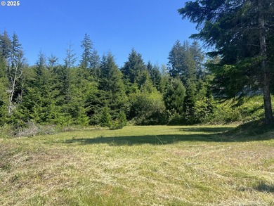 Surrounded by towering trees and quality custom homes, this - photo 1