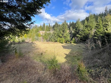 Surrounded by towering trees and quality custom homes, this - photo 4