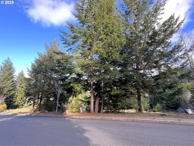 Surrounded by towering trees and quality custom homes, this - photo 8