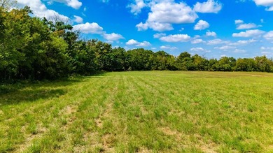**ONE-OF-A-KIND WATERFRONT PROPERTY ON THE GUADALUPE RIVER & - photo 6