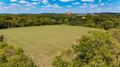 **ONE-OF-A-KIND WATERFRONT PROPERTY ON THE GUADALUPE RIVER & - photo 8