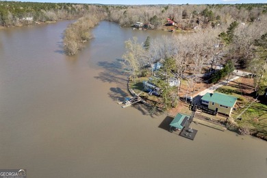DEEDED Lakehome - possible FHA - ramp and stairs to water SOLD - photo 50
