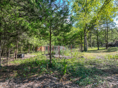 Collins Missouri Home For Sale - photo 6