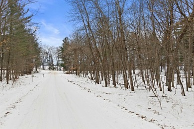 Located in the Petenwell Landing subdivision on the east side of - photo 4