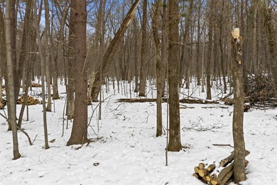 Located in the Petenwell Landing subdivision on the east side of - photo 6