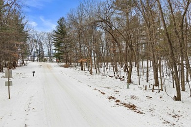 Located in the Petenwell Landing subdivision on the east side of - photo 7