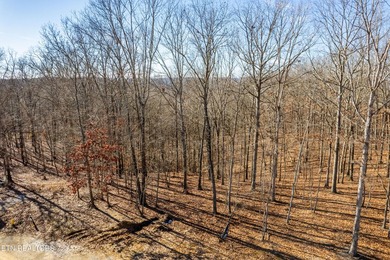 Welcome to an extraordinary opportunity in East Tennessee - photo 2
