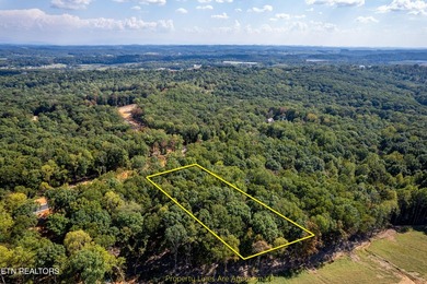 Welcome to an extraordinary opportunity in East Tennessee - photo 3