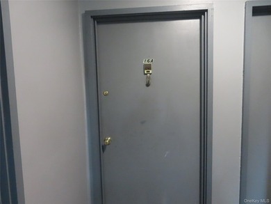 Welcome to this beautifully updated, main level, deluxe size - photo 3