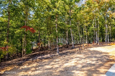 Welcome to an extraordinary opportunity in East Tennessee - photo 4
