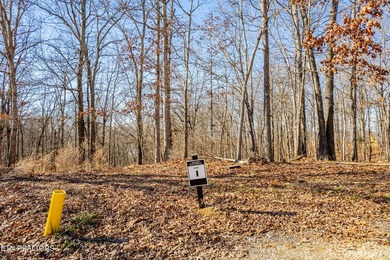 Welcome to an extraordinary opportunity in East Tennessee - photo 6