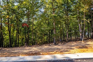 Welcome to an extraordinary opportunity in East Tennessee - photo 10