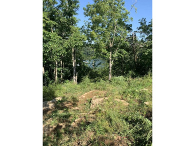 Lake Lot For Sale in Lancaster, Kentucky