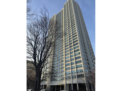 Lake Michigan - Cook County Condo For Sale in Chicago Illinois