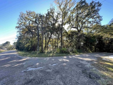 Lake Palestine Lot For Sale in Bullard Texas