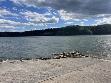 Wide Open Lake Cumberland Lake View Home - photo 32