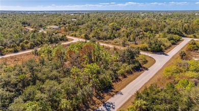 Build your dream home on this single-family residential lot - photo 4