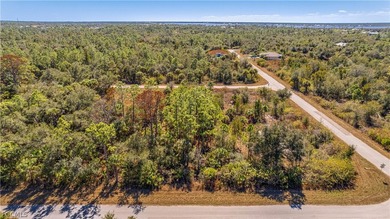 Build your dream home on this single-family residential lot - photo 6